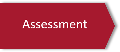 Assessment