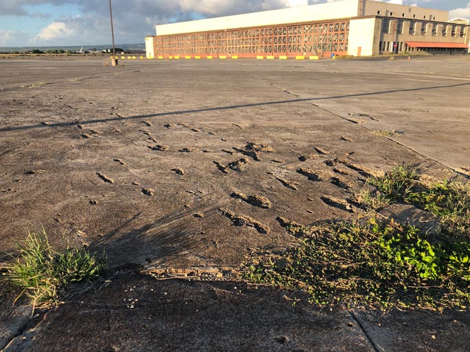 Bullet holes in ground from Pearl Harbor attack