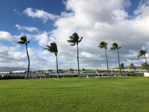 View from Pearl Harbor