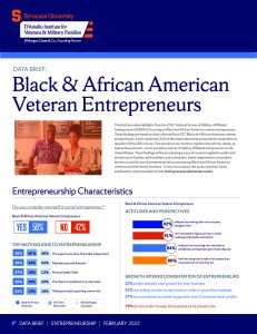 Cover of February 2022 Data Brief: Black and African American Veteran Entrepreneurs