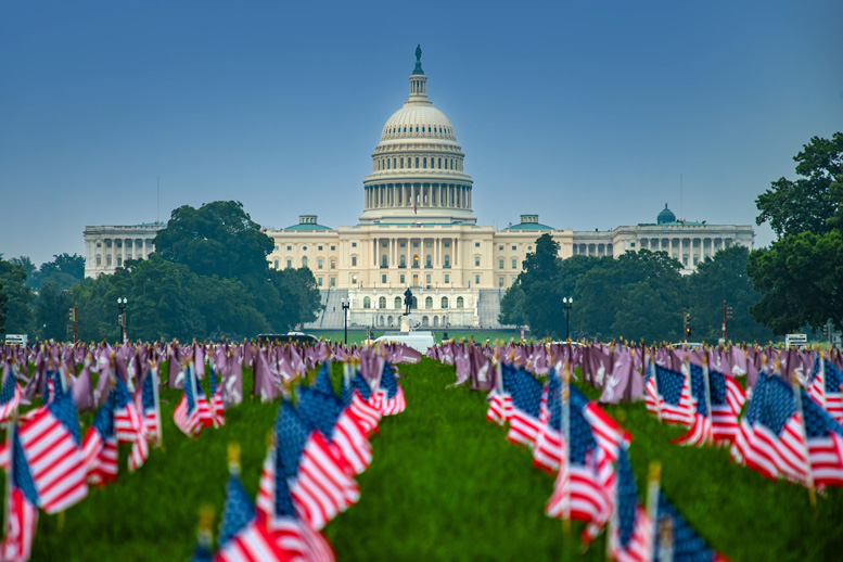Capital in the background with american flags in the lawn in front