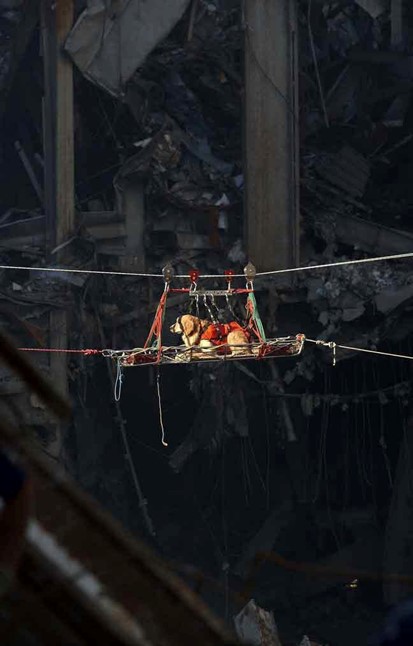 Riley rescue dog at 9/11 carried across gap.